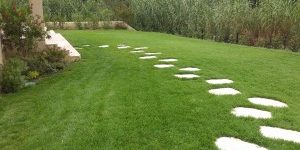 Entretien de jardins