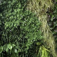 Jardines verticales Innova Jardín durabilidad