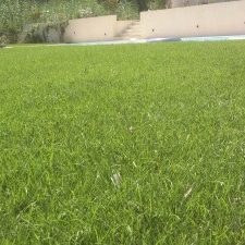 Innova Jardín instalación de cesped